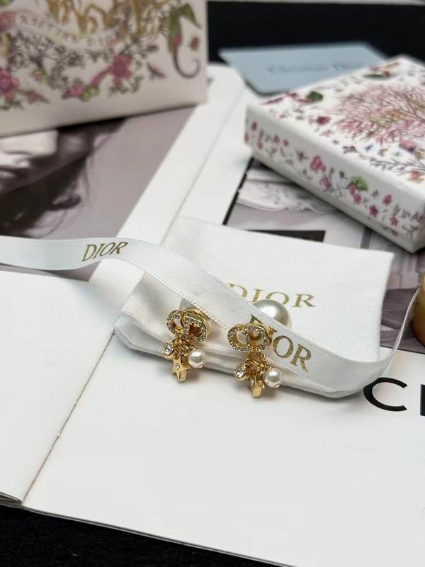 Dior Earring 04yxs70
